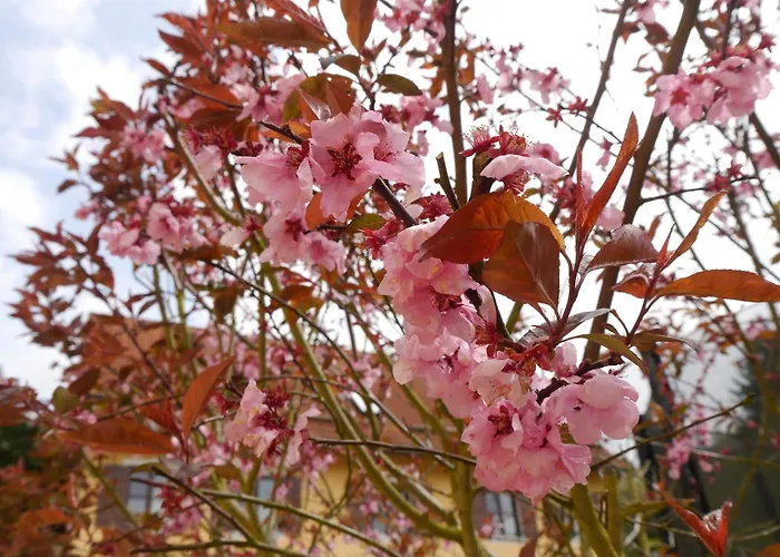 Apartmán Gaestehaus Seeber *