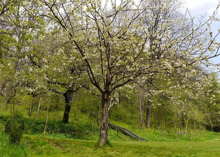 Apartmán Gaestehaus Seeber *